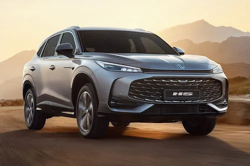 MG eHS — מבט חוץ
